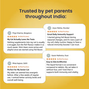 Feli Boost – Immunity Support Syrup for Cats | 50ml