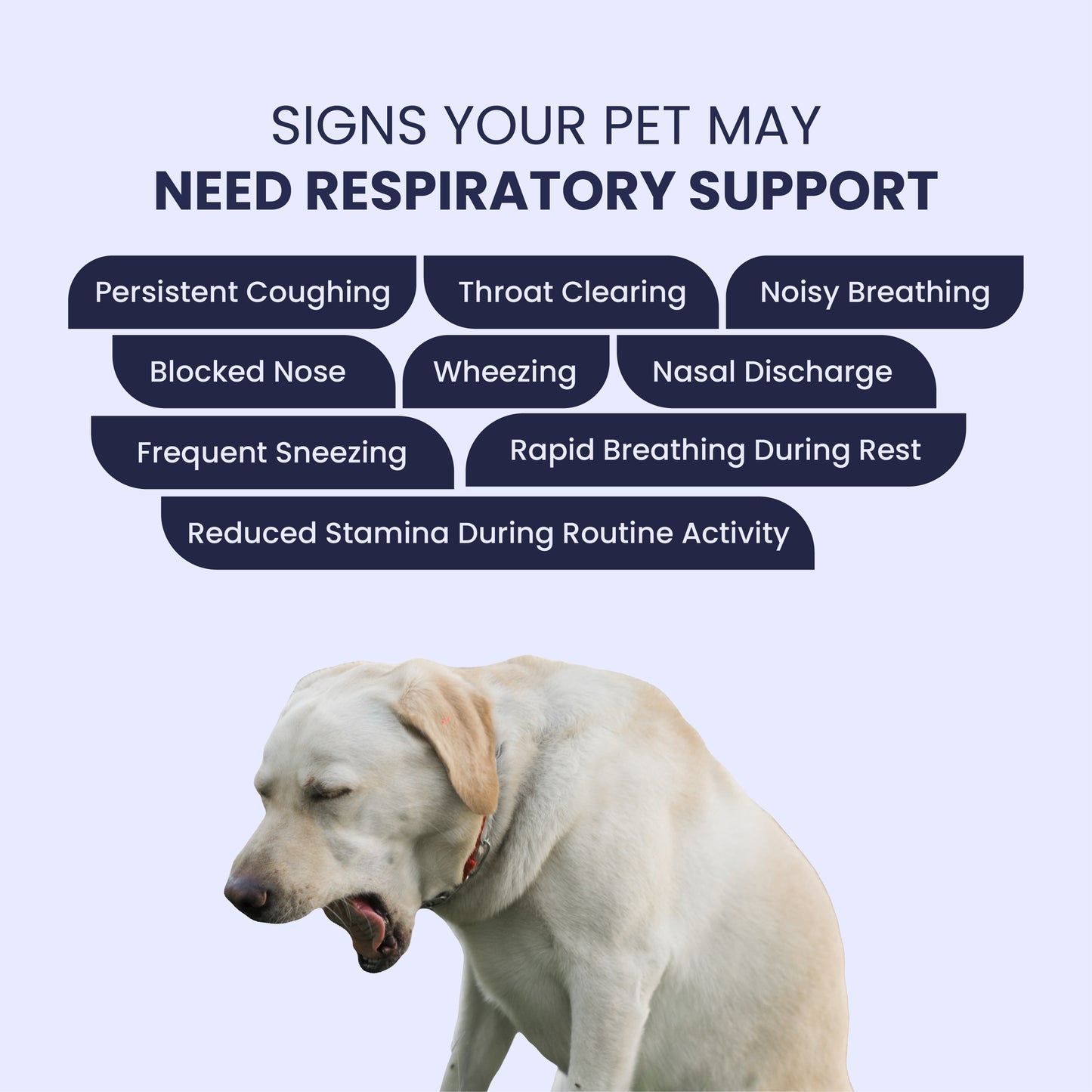 PurrBark Cold & Cough Syrup for Dogs & Cats