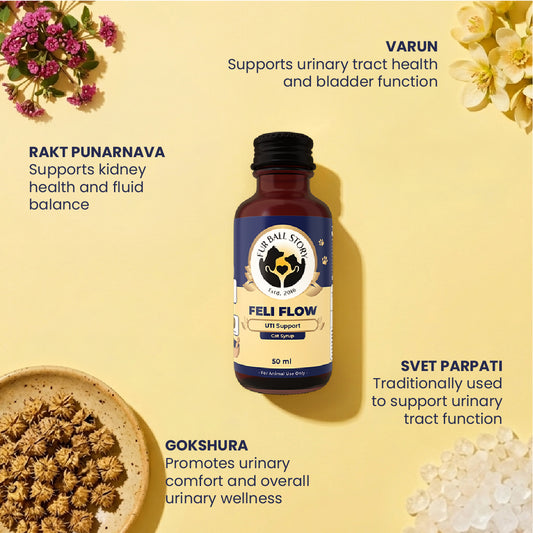 Fur Ball Story Feli Flow cat urinary support syrup with natural Ayurvedic ingredients for feline urinary health