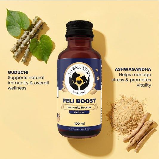 Fur Ball Story Feli Boost cat immunity booster featuring Guduchi and Ashwagandha for natural immune support and overall wellness