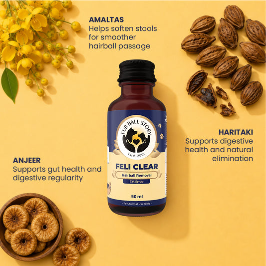 Fur Ball Story Feli Clear hairball support for cats with Anjeer, Haritaki, and Amaltas to support digestion and natural hairball removal