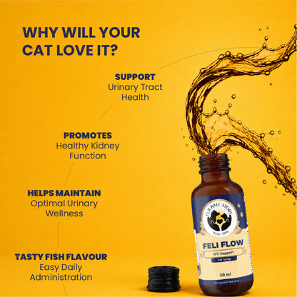 Feli Flow – Urinary Health Support Syrup for Cats | 50ml