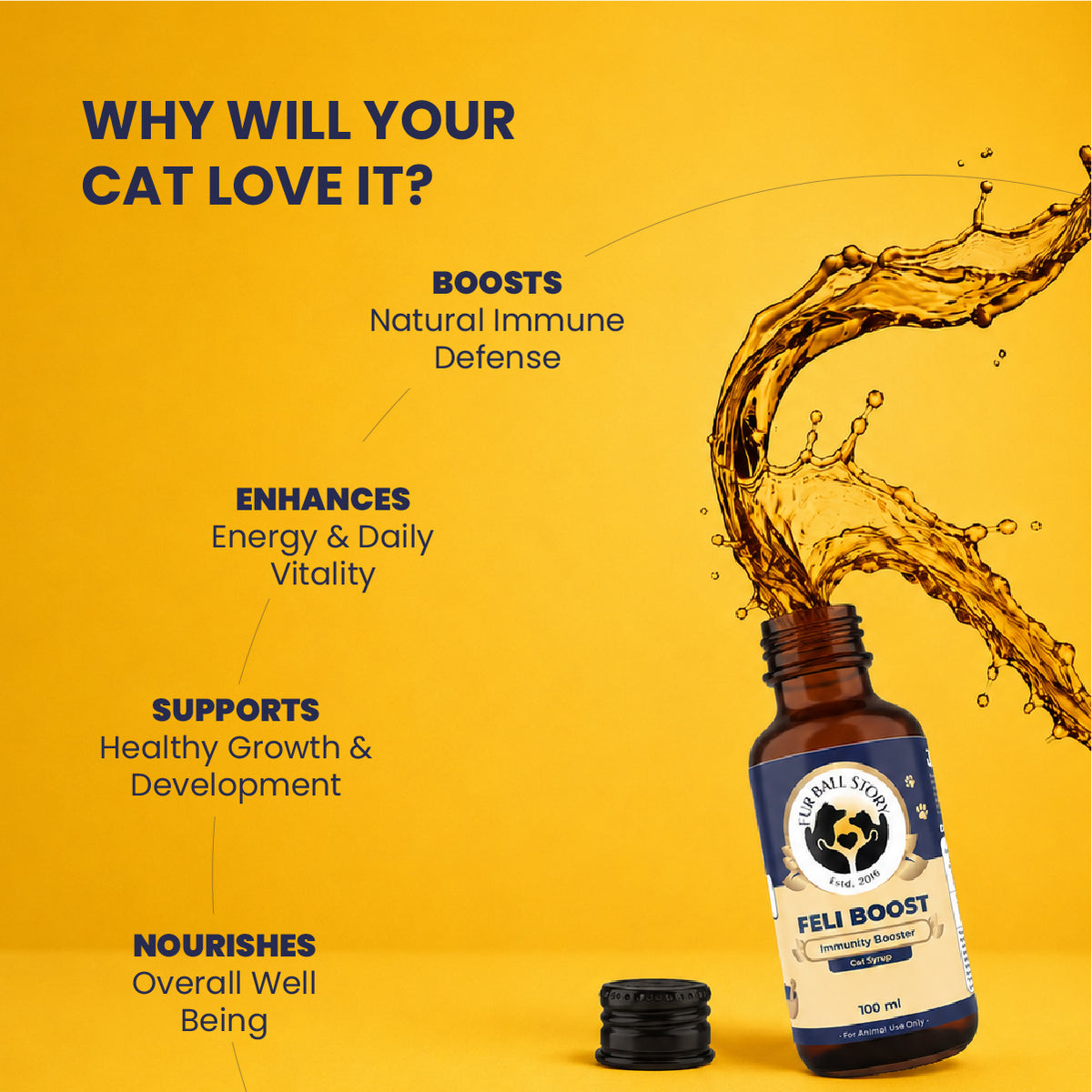 Signs your cat needs immunity support including low energy, seasonal changes, stress, and frequent illness with Feli Boost guidance