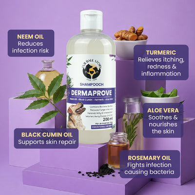 Dermaprove Shampooch: Antifungal Dog Shampoo - 200 ml