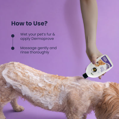 Dermaprove Shampooch: Antifungal Dog Shampoo - 300ml.