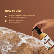 Shampooch: Best Dog Shampoo For Healthy Skin & Shiny Coat - 300ml