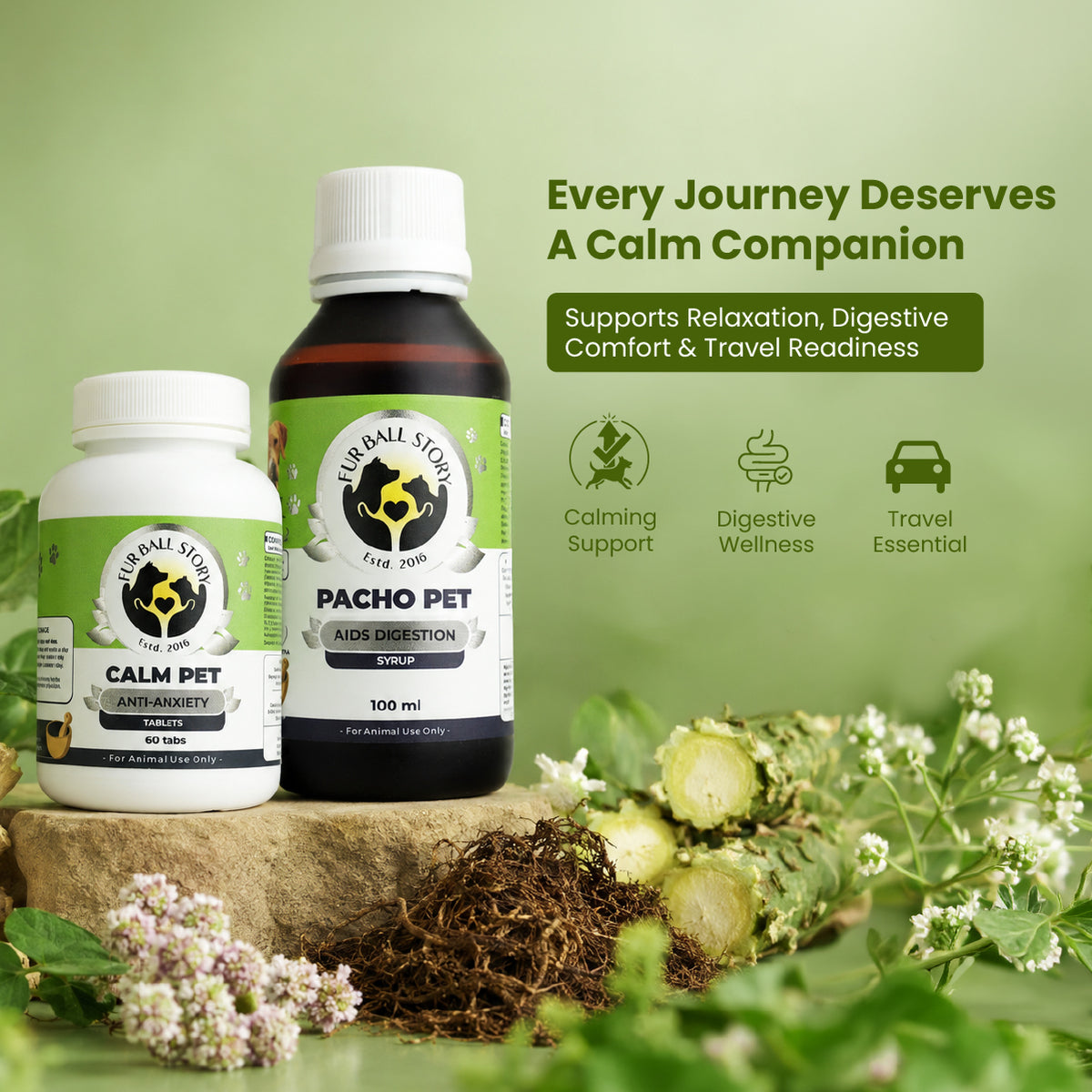 Dog Travel Health Kit, Complete Dog Travel Kit, Dog Travel Wellness Kit, Best Dog Travel Kit, Best Pet Travel Kit India