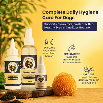 The MEE Routine: Your Dog’s Everyday Hygiene Ritual