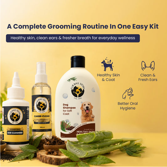 Dog Grooming Kit