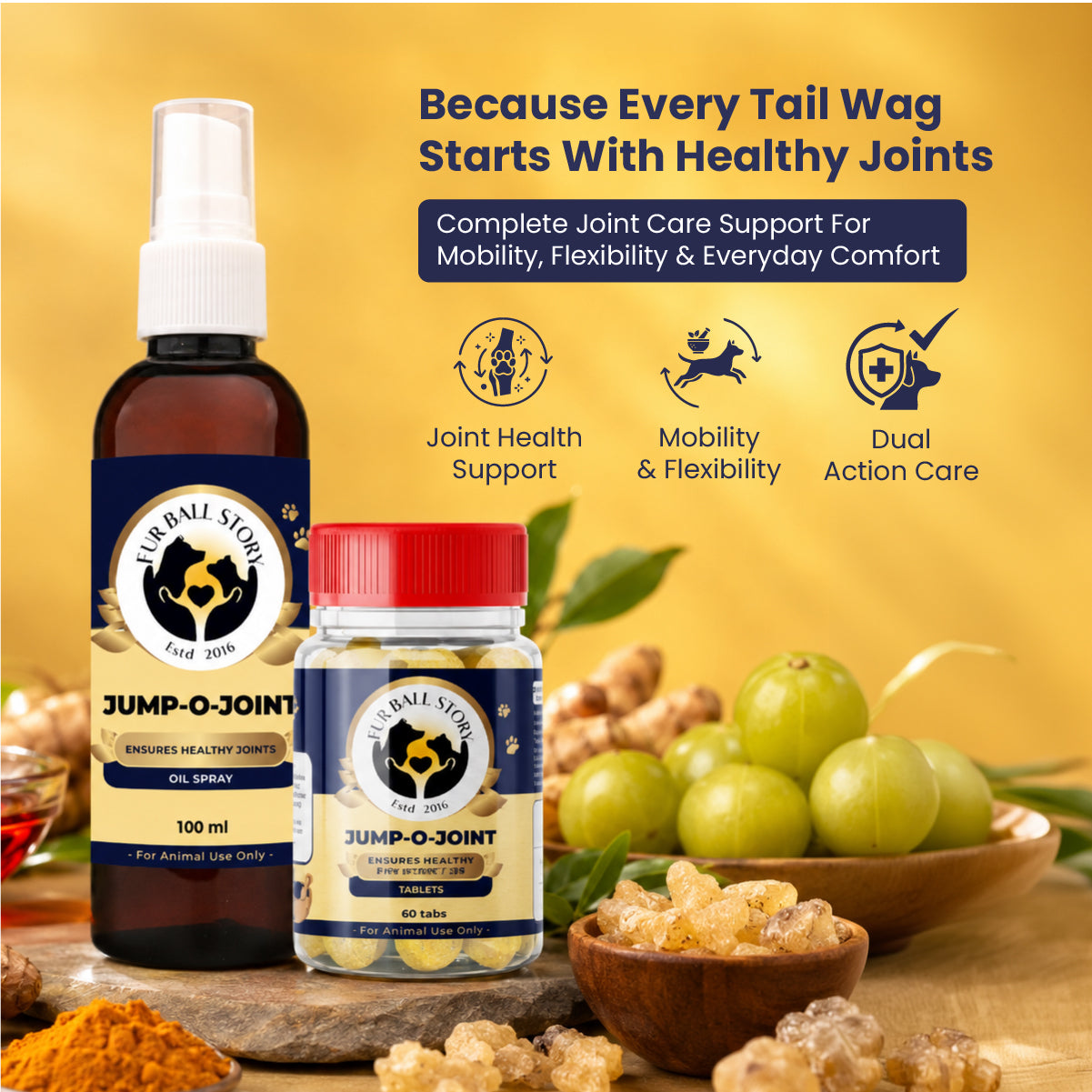 Joint Care Kit - Oil + Tablet: Maximizing Joint Care in Pets