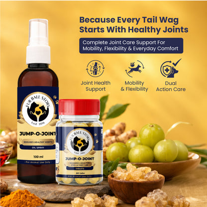 Joint Care Kit - Oil + Tablet: Maximizing Joint Care in Pets