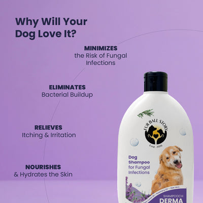 Dermaprove Shampooch: Antifungal Dog Shampoo - 300ml.
