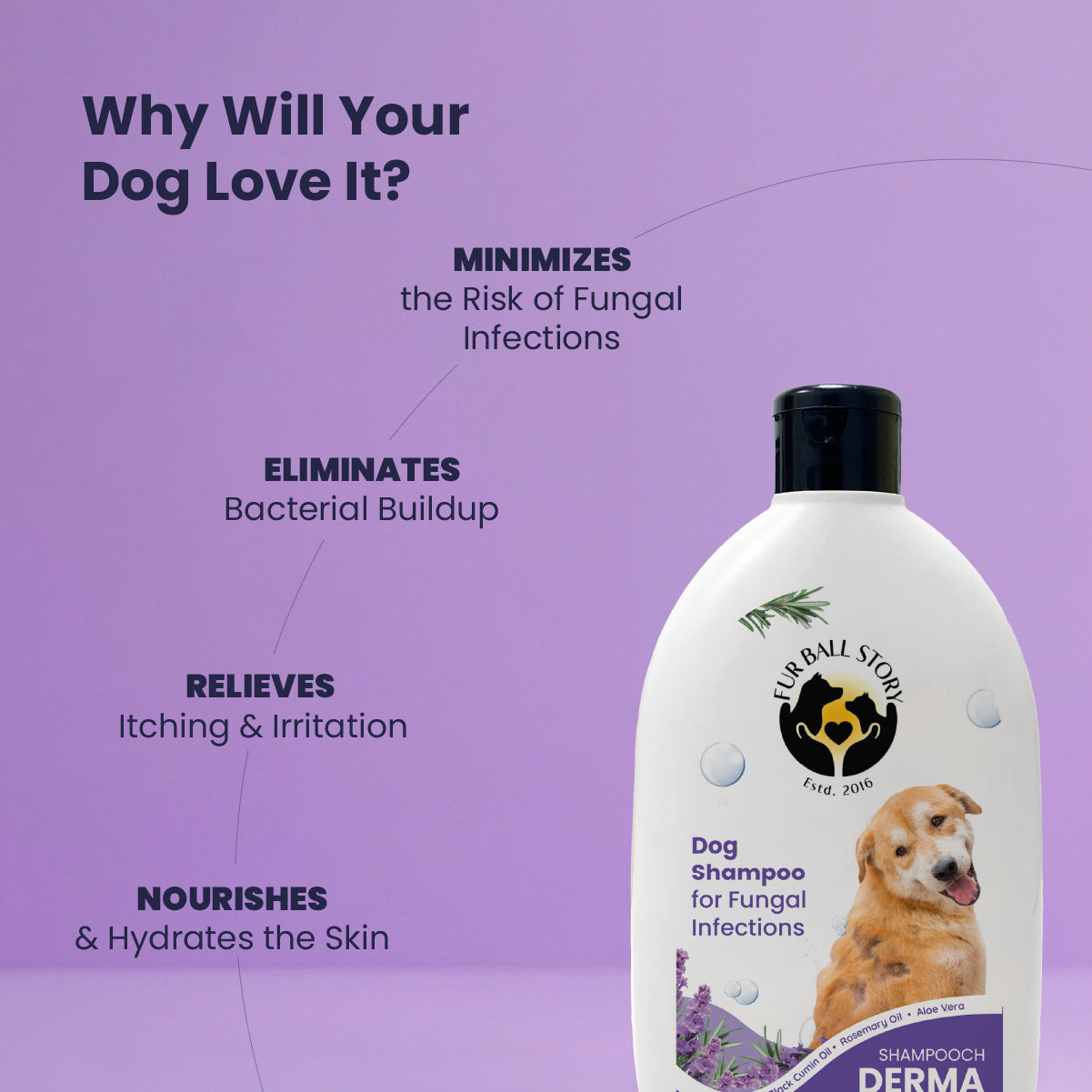 Dermaprove Shampooch: Antifungal Dog Shampoo - 300ml.