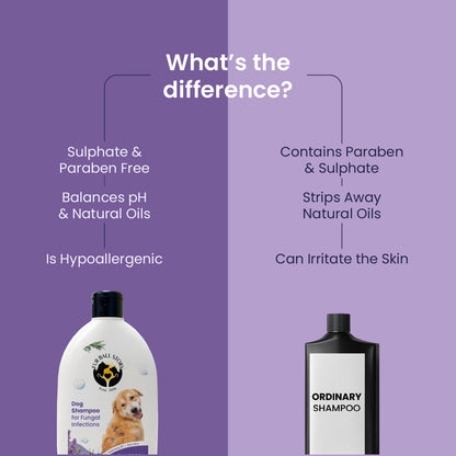 Dermaprove Shampooch: Antifungal Dog Shampoo - 300ml.