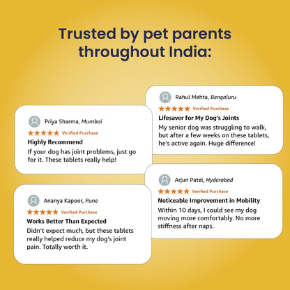 Jump-O-Joint Tablet: Relieves Joint Pain in Dogs & Cats (60 Tab/81gm)