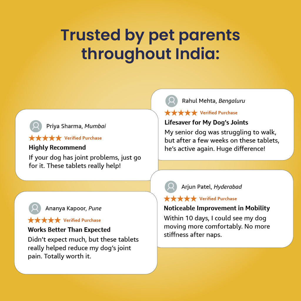 Jump-O-Joint Tablet: Relieves Joint Pain in Dogs & Cats (60 Tab/81gm)