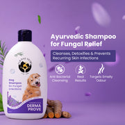 Dermaprove Shampooch: Antifungal Dog Shampoo - 300ml.
