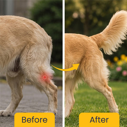 Jump-O-Joint Tablet: Relieves Joint Pain in Dogs & Cats (60 Tab/81gm)