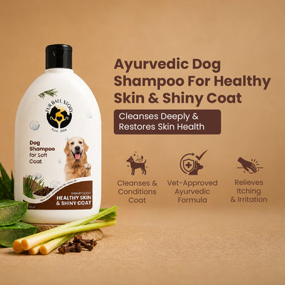 Shampooch Healthy Skin & Shiny Coat (BUY2 GET 1 FREE)