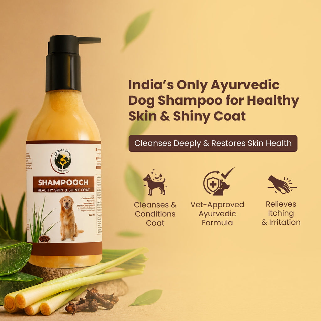 Shampooch: Best Dog Shampoo For Healthy Skin & Shiny Coat - 300ml