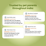 Shampooch Tick Free: Tick Preventive Dog Shampoo - 300ml