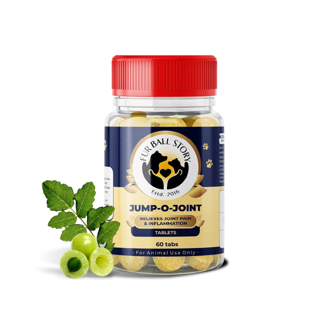 Jump-O-Joint Tablet: Relieves Joint Pain in Dogs & Cats (60 Tab/81gm)