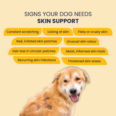 Eczo Pet Cream: Treats Skin Infections In Dogs & Cats - 60gm