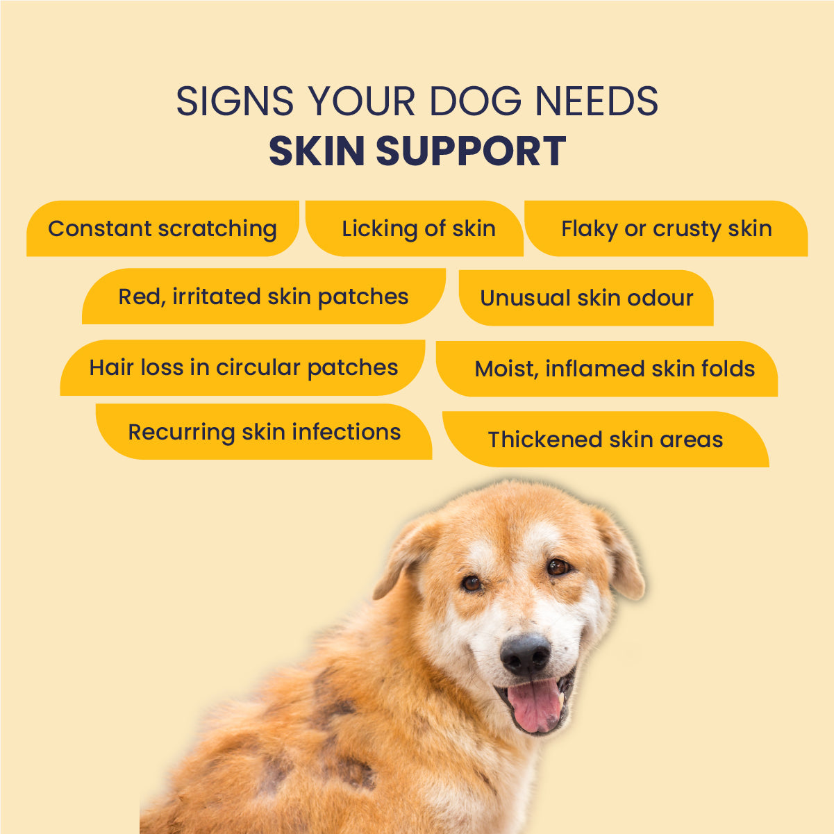 Eczo Pet Cream: Treats Skin Infections In Dogs & Cats - 60gm