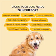 Eczo Pet Cream: Treats Skin Infections In Dogs & Cats - 60gm