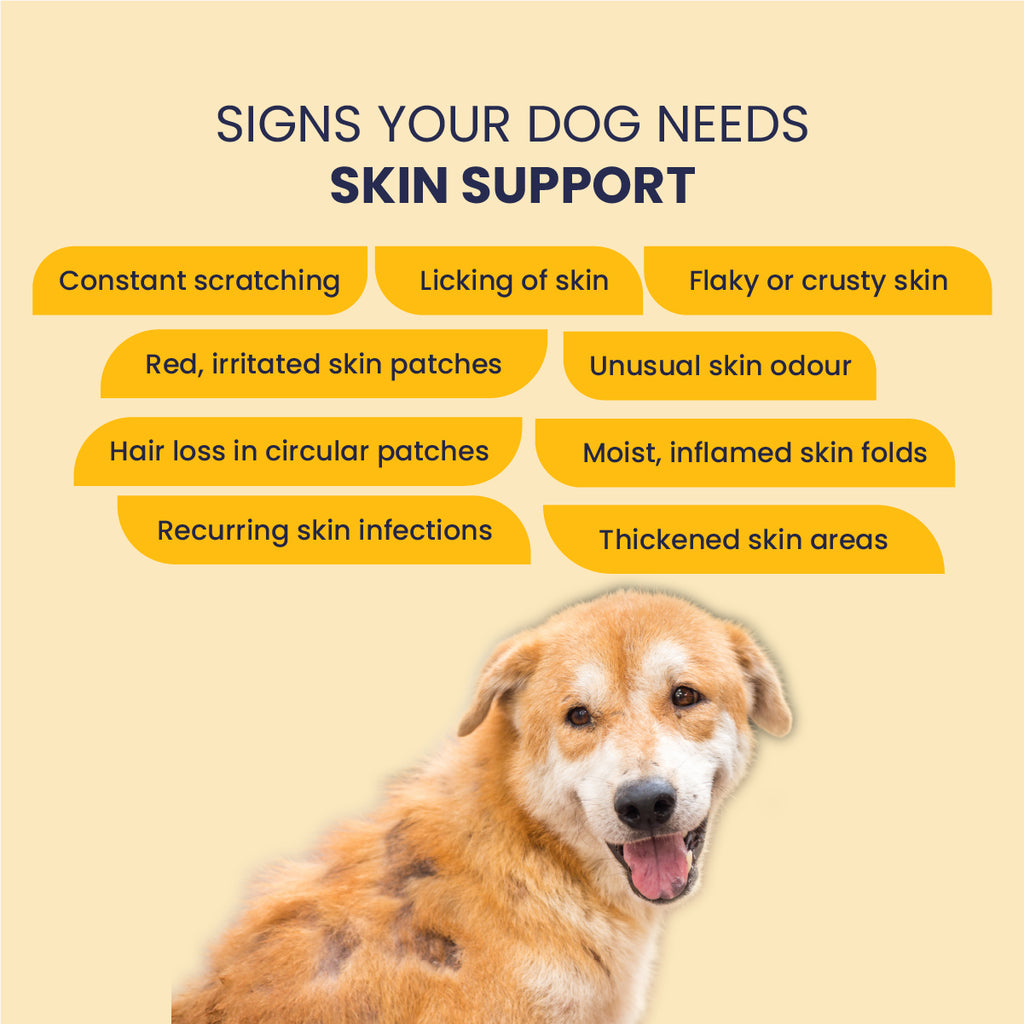 Eczo Pet Cream: Treats Skin Infections In Dogs & Cats - 60gm