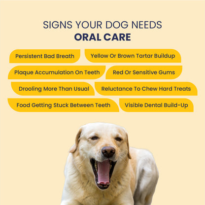 Canni Clean: Dental Spray For Oral Hygiene In Dogs & Cats - 100ml