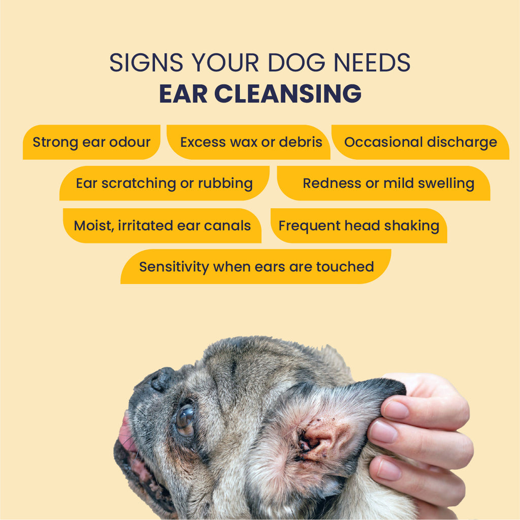 Clear Ear: Natural Antiseptic Ear Drops for Dogs (100ml)