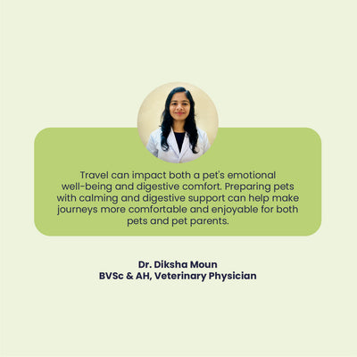 Travel with Pet Kit