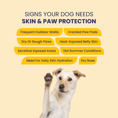 Cool Pet: Moisturising Sunscreen For Dogs - 100 ml