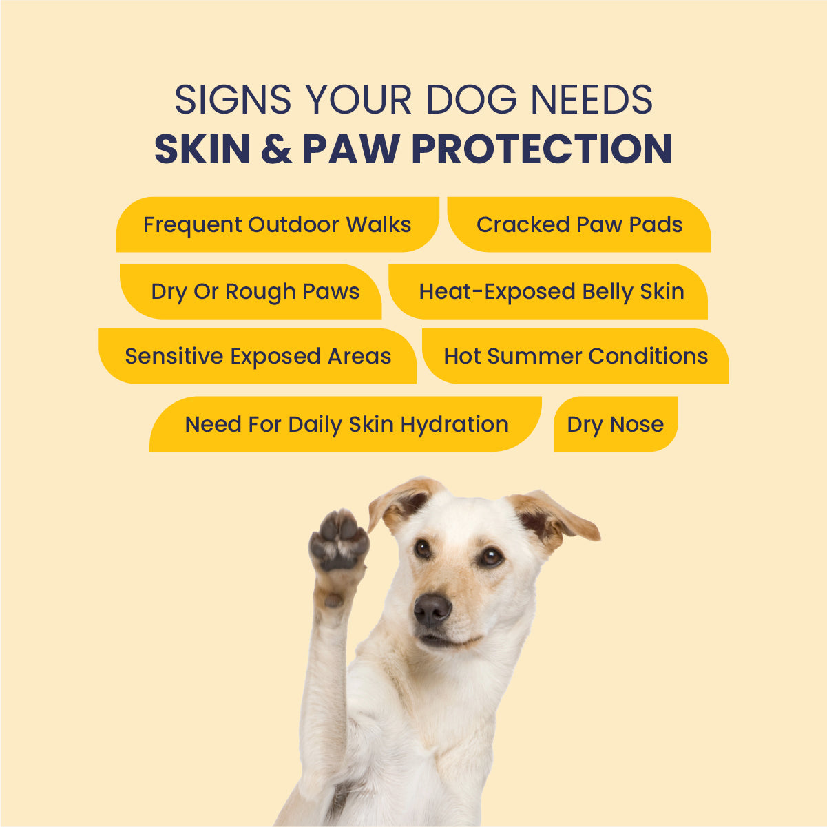 Cool Pet: Moisturising Sunscreen For Dogs - 100 ml