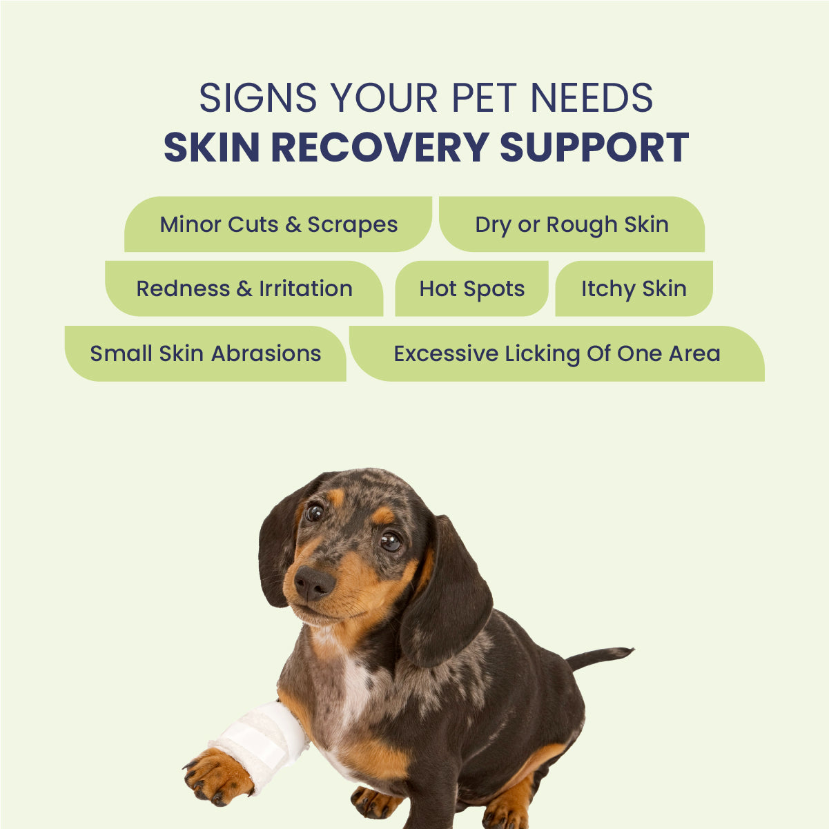 Heal Pet: Wound Healing Cream For Dogs & Cats - 60gm