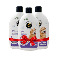 Buy 2 Get 1 Free (300ML * 3)