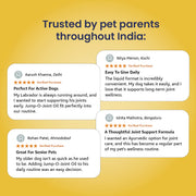 Jump O Joint (Oil): For Joint Pain Relief in Dogs & Cats - 100ml