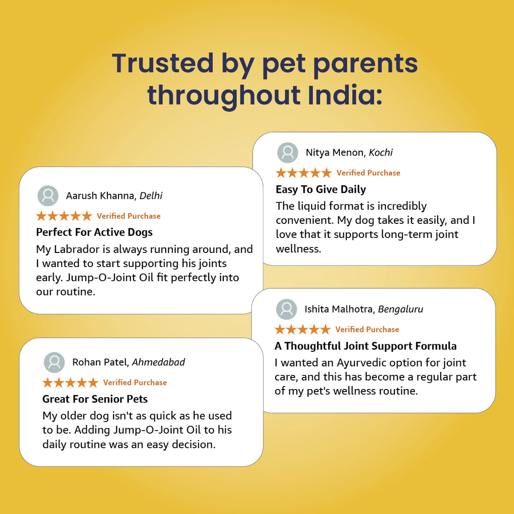 Jump O Joint (Oil): For Joint Pain Relief in Dogs & Cats - 100ml