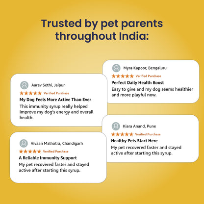 Supertonic Syrup: Ensures Head to Tail Wellness of Dogs & Cats - 200ml