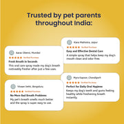 Canni Clean: Dental Spray For Oral Hygiene In Dogs & Cats - 100ml