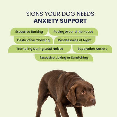 Calm Pet: Anti Anxiety Tablets For Dogs & Cats -  (60 tab/100gm)