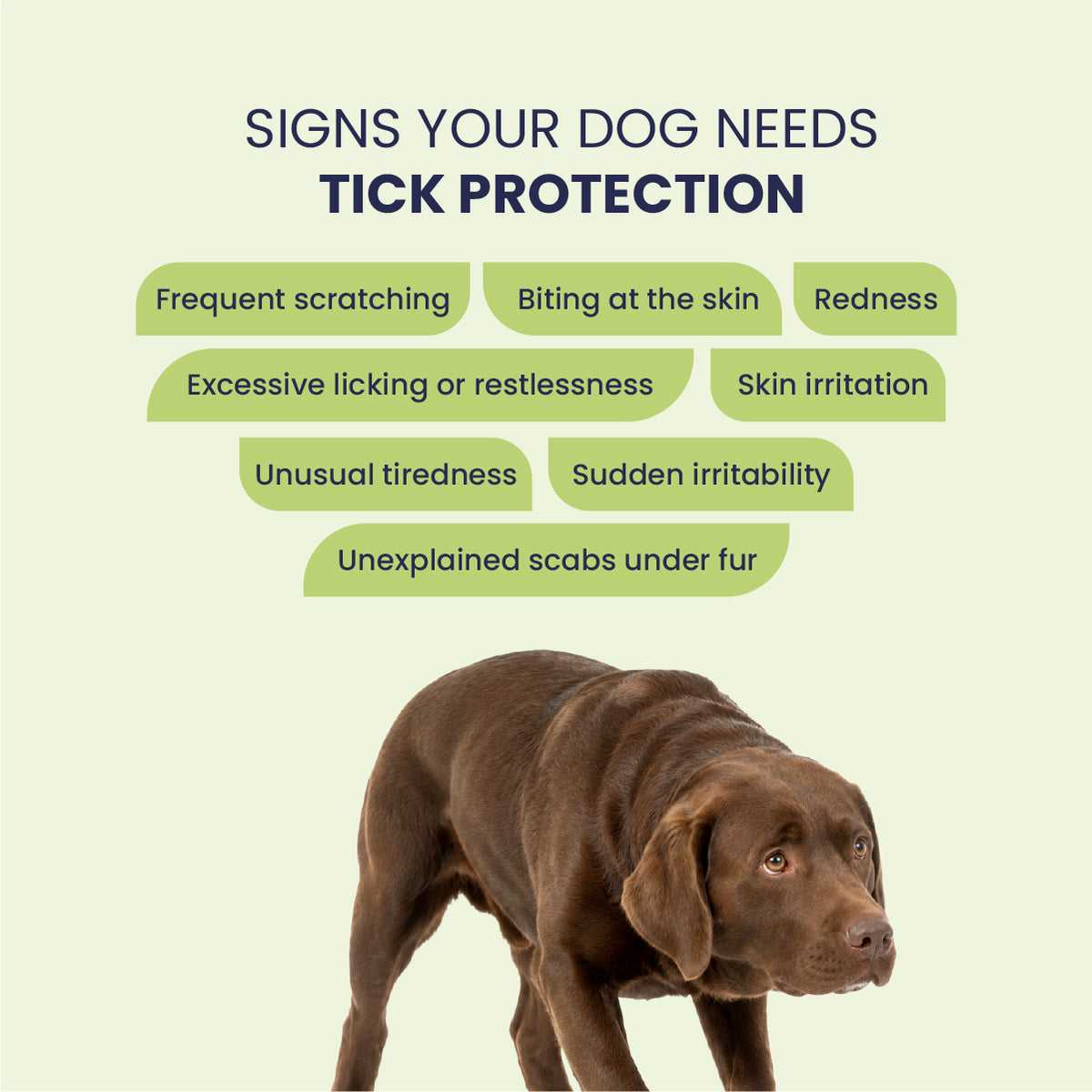 Tick Shampoo and Spray Combo, Anti Tick Combo for Dogs, Dog Tick Control Products, Dog Flea Control Products, Best Tick & Flea Kit for Dogs