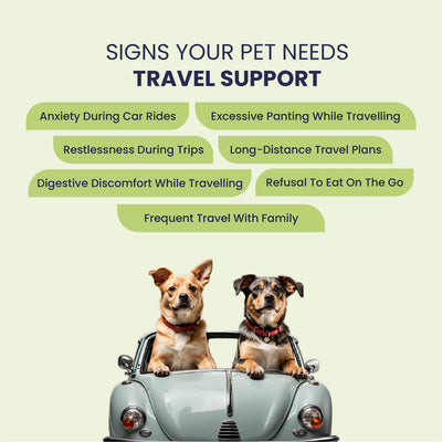 Travel with Pet Kit