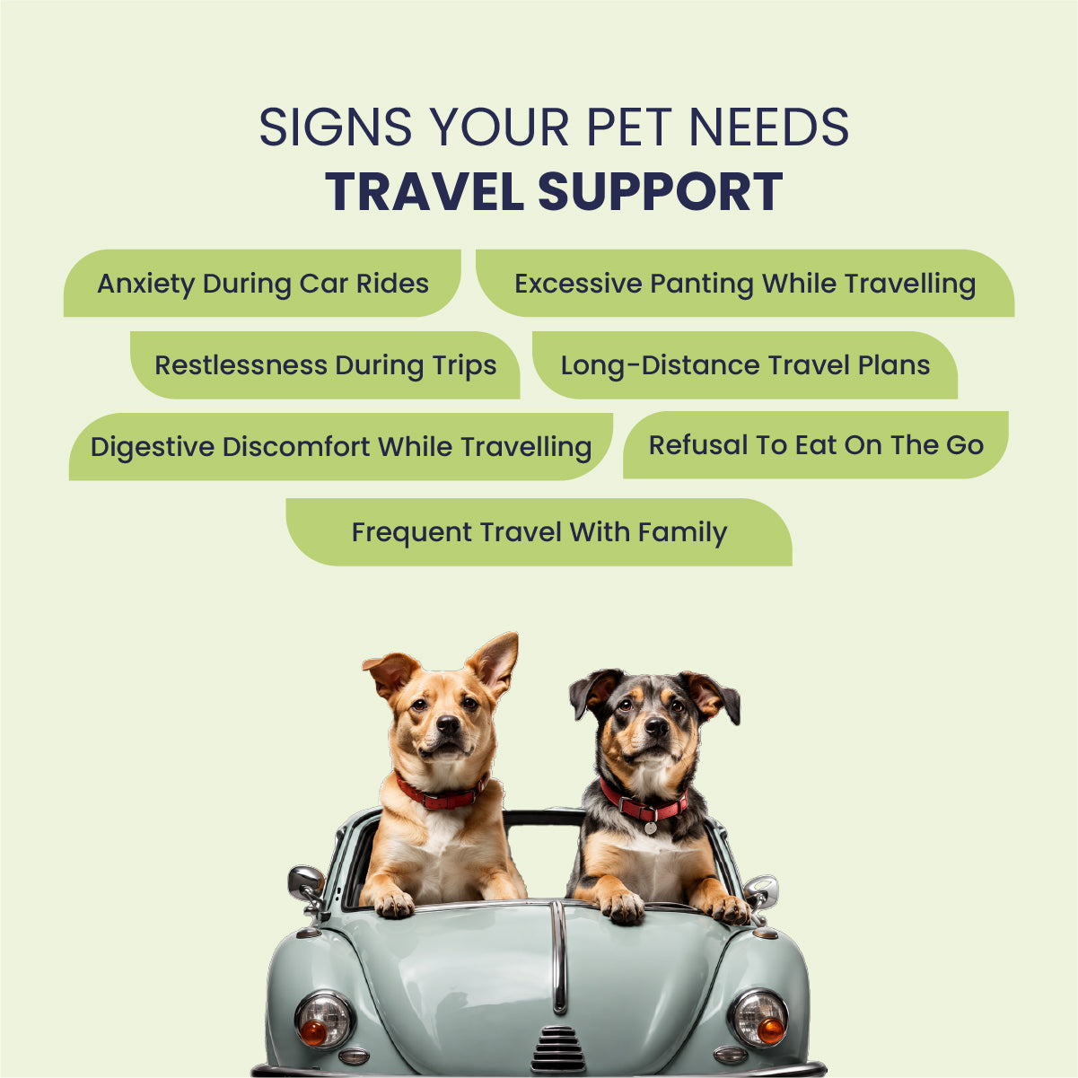Travel with Pet Kit