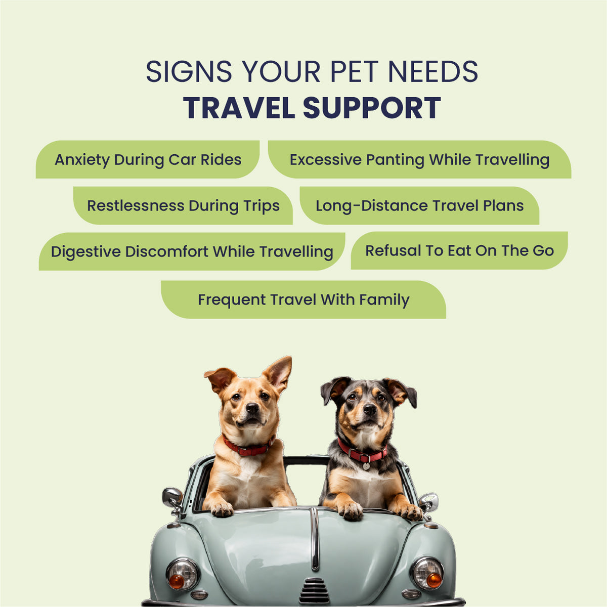 Best Dog Travel Kit India, Complete Travel Kit for Dogs, Dog Travel Kit for Road Trips, Dog Travel Kit for Car Travel