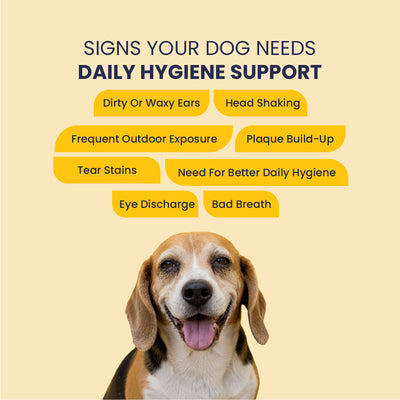 The MEE Routine: Your Dog’s Everyday Hygiene Ritual