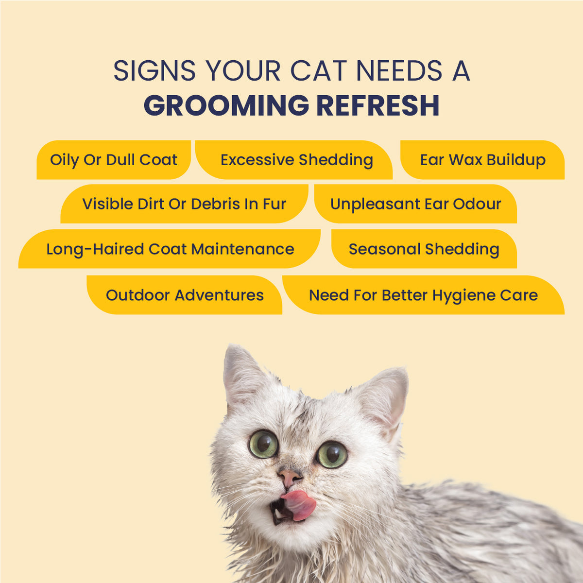 Cat Shampoo and Ear Cleaner, Cat Daily Hygiene Kit, Cat Care Kit, Best Cat Grooming Kit