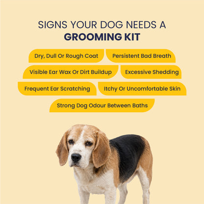Dog Grooming Kit