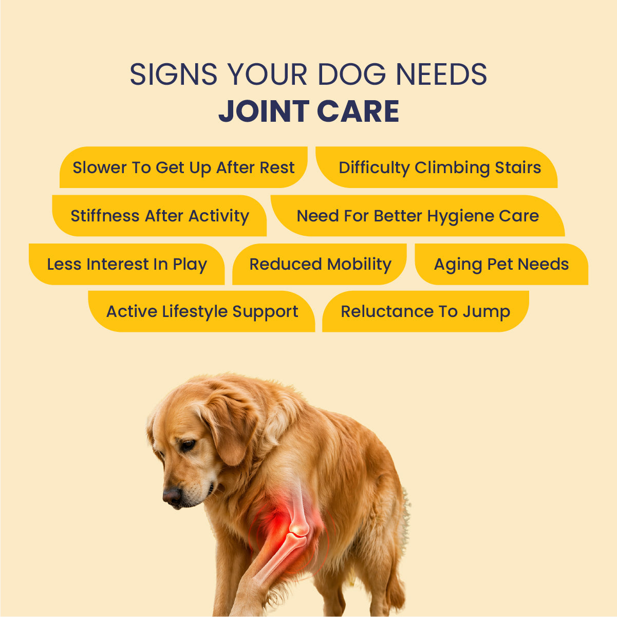 Joint Care Kit - Oil + Tablet: Maximizing Joint Care in Pets